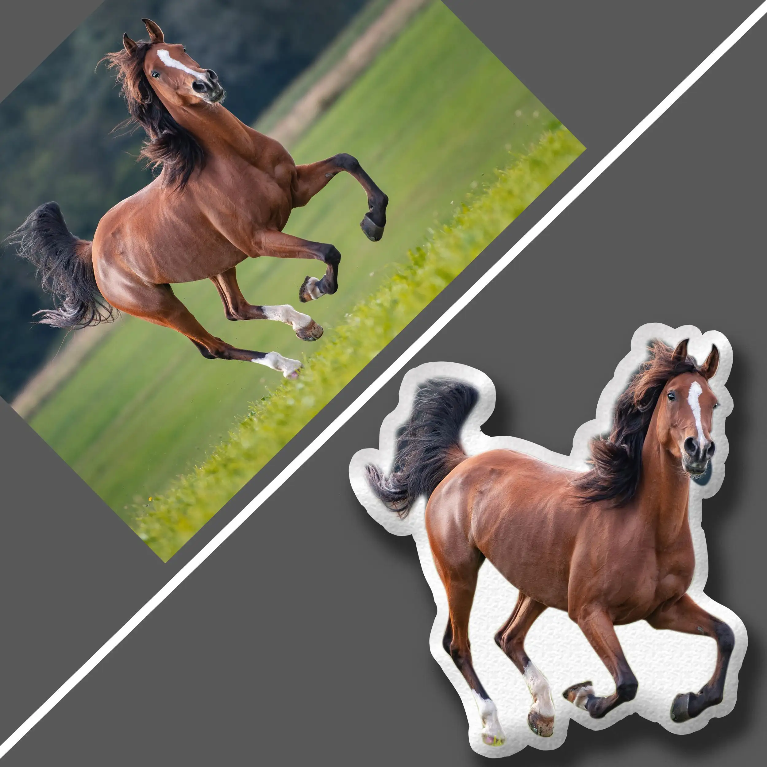 Pet Pillow | Horse Drawing | Horse Photography | Custom Pet Pillow | Pet Pillow Custom | Custom Body Pillow | Hobby Horse
Pet Pillow | Horse Drawing | Horse Photography | Custom Pet Pillow | Pet Pillow Custom | Custom Body Pillow | Hobby Horse