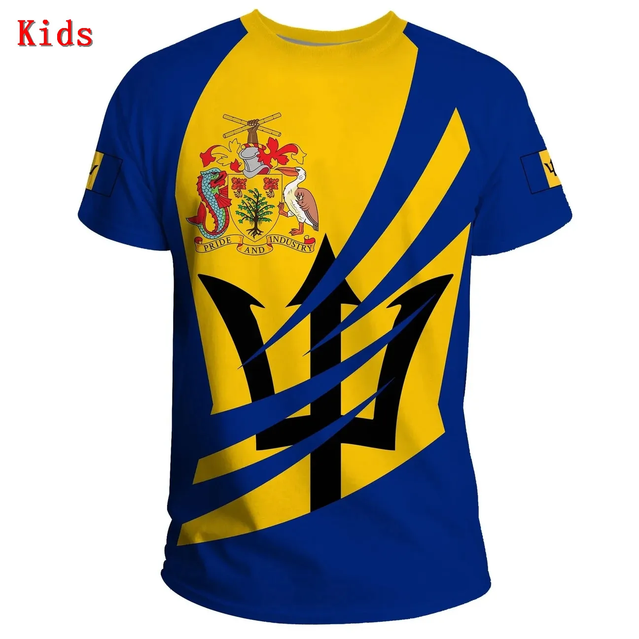 BABARDOS T-SHIRT COAT OF ARMS BINCJOU 3D All Over Printed T-Shirt Kids Boys Short-Sleeve Top Cool Tees Children Wear
BABARDOS T-SHIRT COAT OF ARMS BINCJOU 3D All Over Printed T-Shirt Kids Boys Short-Sleeve Top Cool Tees Children Wear