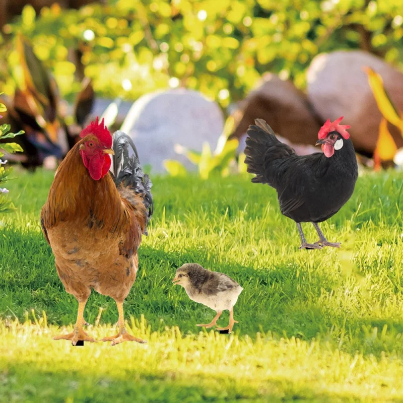 Yklu249 Cross-Border Three-Dimensional Simulation Color Rooster Hen Courtyard Floor Outlet Yard Art Garden Outdoor Decoration
Yklu249 Cross-Border Three-Dimensional Simulation Color Rooster Hen Courtyard Floor Outlet Yard Art Garden Outdoor Decoration