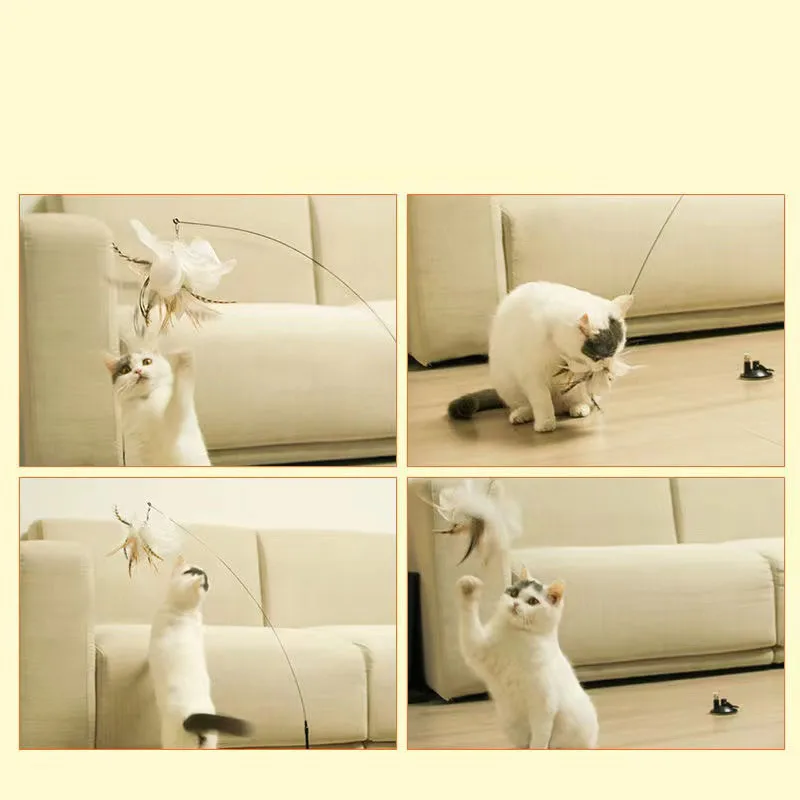 Игрушки для кошек, присоска-диск с перьями, автоматическая игрушка-палочка для кошек, игрушка для котят, игрушка-палочка, товары для домашни... 
Игрушки для кошек, присоска-диск с перьями, автоматическая игрушка-палочка для кошек, игрушка для котят, игрушка-палочка, товары для домашни...