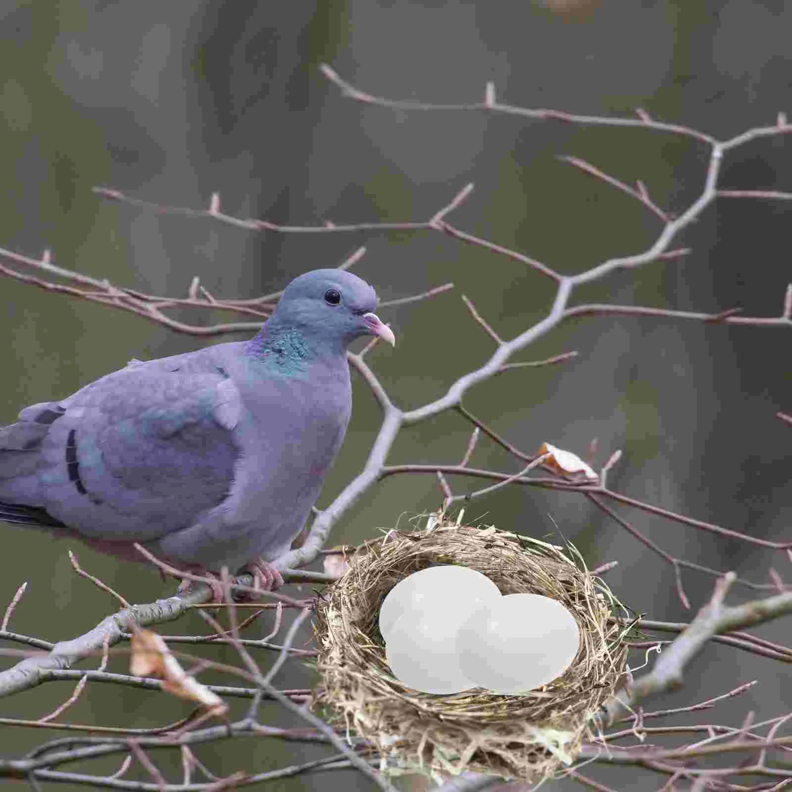 Eggs Bird Egg Artificial Fake Prop Plastic Crafts Dummy Laying Training Girl Teether Blocks Old Hatching Pacifier Rat Simulation
Eggs Bird Egg Artificial Fake Prop Plastic Crafts Dummy Laying Training Girl Teether Blocks Old Hatching Pacifier Rat Simulation