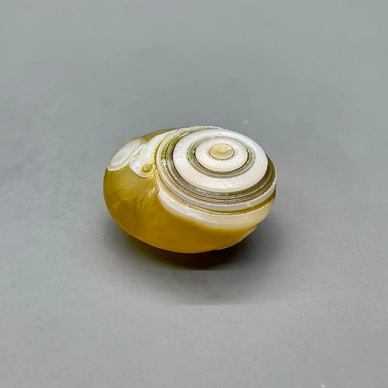 Wishing Agate Rough Stone Pure Natural Flower Color Agate for DIY Jewelry Making Natural Minerals Agate Ornament A03-03
Wishing Agate Rough Stone Pure Natural Flower Color Agate for DIY Jewelry Making Natural Minerals Agate Ornament A03-03