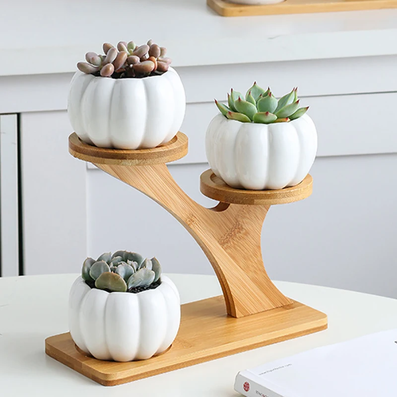 Succulent Plant Flower Pot Holder Ceramic Garden Planter Owl Pumpkin Pattern Flower Pot Treetop Shaped Bamboo Shelf Pot Set
Succulent Plant Flower Pot Holder Ceramic Garden Planter Owl Pumpkin Pattern Flower Pot Treetop Shaped Bamboo Shelf Pot Set