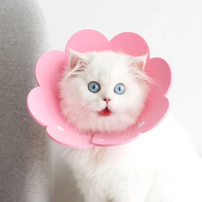 Circle Pet Protection Cat Collar Soft Anti-Scratch Sterilization Circle Wound Healing Medical Recovery Dog Headgear
Circle Pet Protection Cat Collar Soft Anti-Scratch Sterilization Circle Wound Healing Medical Recovery Dog Headgear