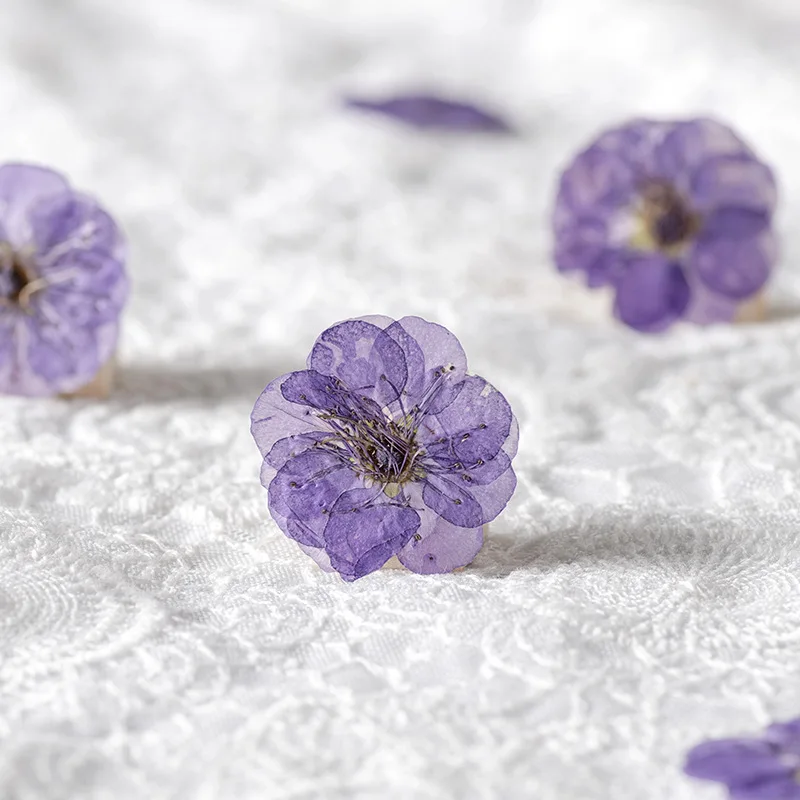 500pcs/bag Plum Bossom Natural Pressed Flower For Resin Dried Flower For DIY Art Craft Canlde Soap Scrapbook Home Decoration
500pcs/bag Plum Bossom Natural Pressed Flower For Resin Dried Flower For DIY Art Craft Canlde Soap Scrapbook Home Decoration