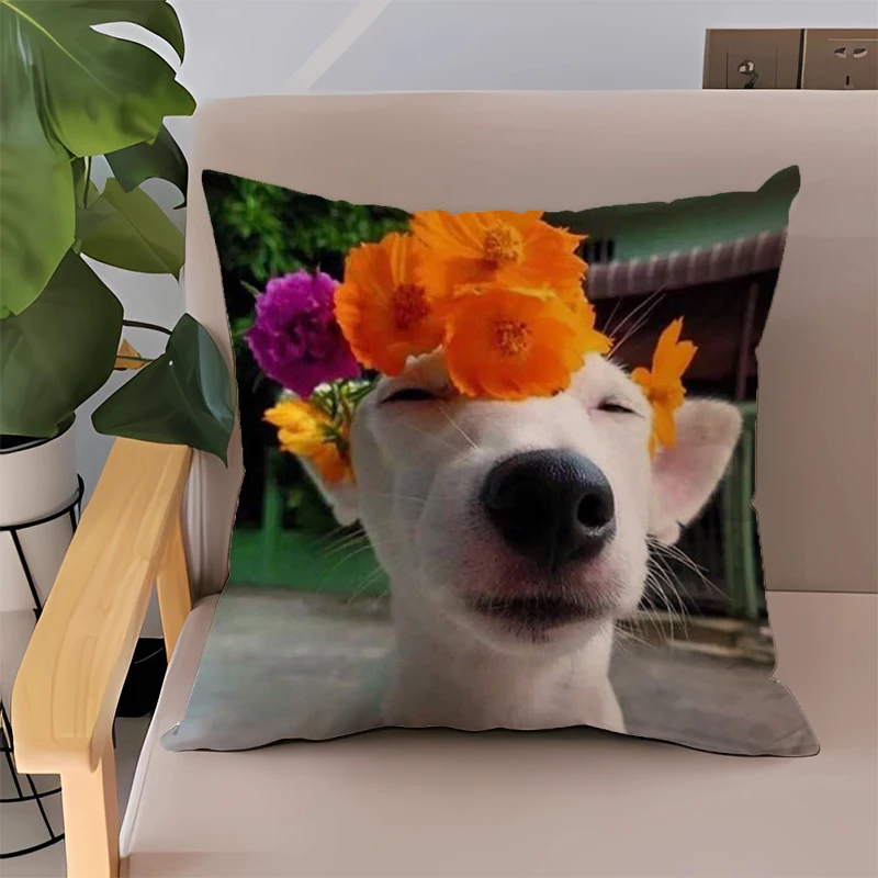 Pillowcase Dog Sofa Cushions Double-sided Printing Cushion Cover 40x40 Decorative Pillows for Bed 45x45 Pillow Home Decor Covers
Pillowcase Dog Sofa Cushions Double-sided Printing Cushion Cover 40x40 Decorative Pillows for Bed 45x45 Pillow Home Decor Covers