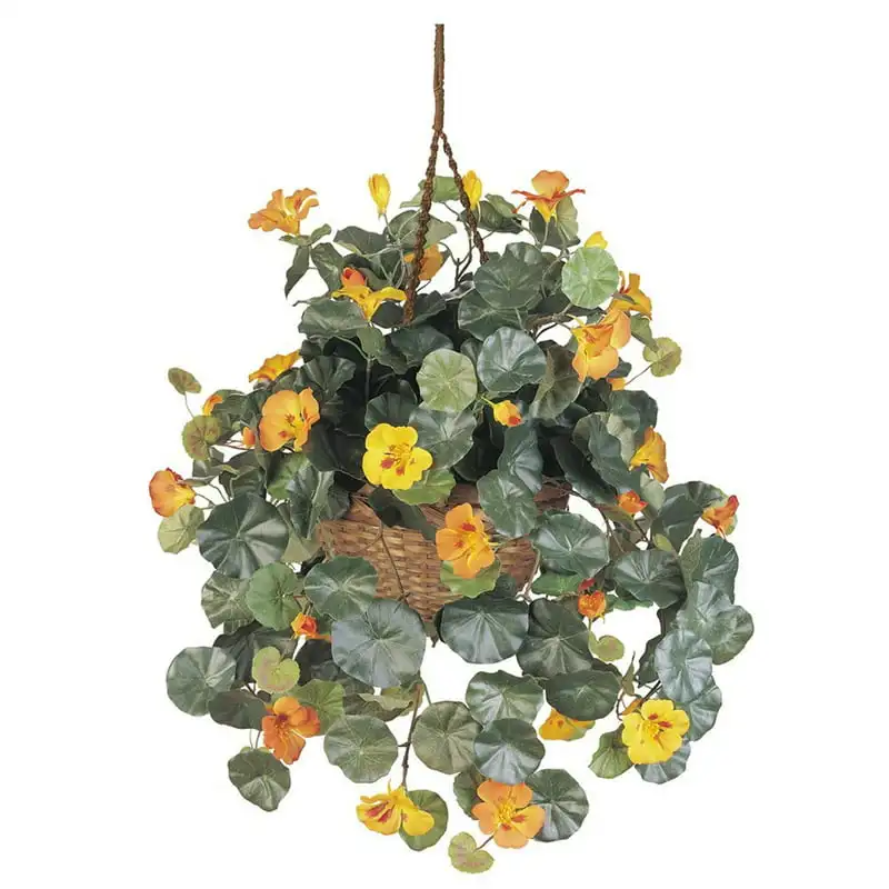 

Золотое растение настурия, искусственные цветы в подвесной корзине, букет, оберточная бумага, листья эвкалипта, синие цветы, искусственные перья