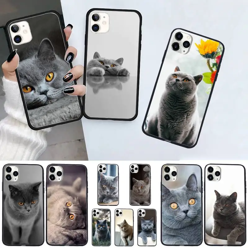 British Shorthair cat animal Phone Case For iphone 12 11 13 7 8 6 s plus x xs xr pro max mini shell
British Shorthair cat animal Phone Case For iphone 12 11 13 7 8 6 s plus x xs xr pro max mini shell