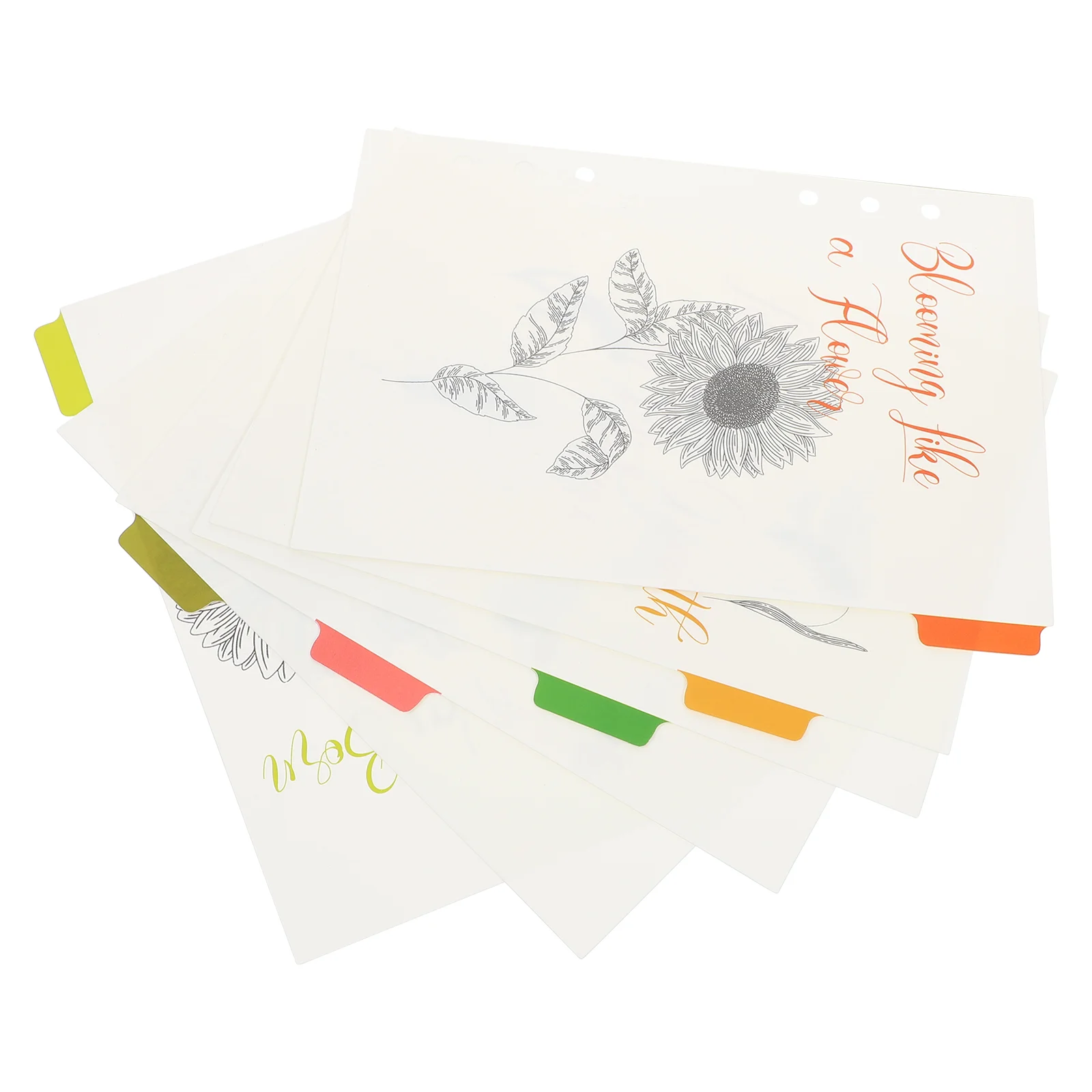 Dividers Page Tabs Binder Leaf Loose Notebook Labels Classification Classified Paper Separators Filler Plastic Full Sheet
Dividers Page Tabs Binder Leaf Loose Notebook Labels Classification Classified Paper Separators Filler Plastic Full Sheet