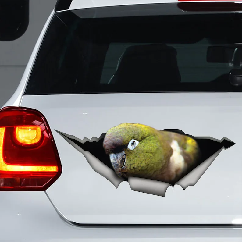 Автомобильная наклейка Patagonian conure, переводная картинка Patagonian conure magnet
Автомобильная наклейка Patagonian conure, переводная картинка Patagonian conure magnet