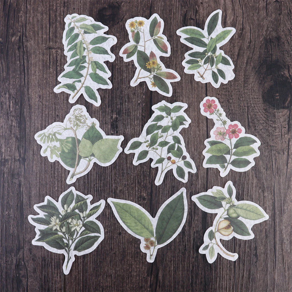 60 Pcs Decorative Decal Transparent Paper Skz Stickers Fashion DIY Sticker Decorative Stickers Large Mushroom
60 Pcs Decorative Decal Transparent Paper Skz Stickers Fashion DIY Sticker Decorative Stickers Large Mushroom