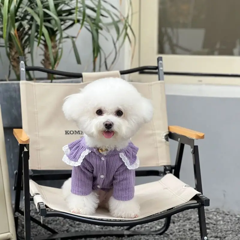 Purple Pink Lace Princess Dress Dog Clothes Lacework Lapel Design Fashion Small Dog Clothing Cat Kawaii Warm Thick Pet Products
Purple Pink Lace Princess Dress Dog Clothes Lacework Lapel Design Fashion Small Dog Clothing Cat Kawaii Warm Thick Pet Products