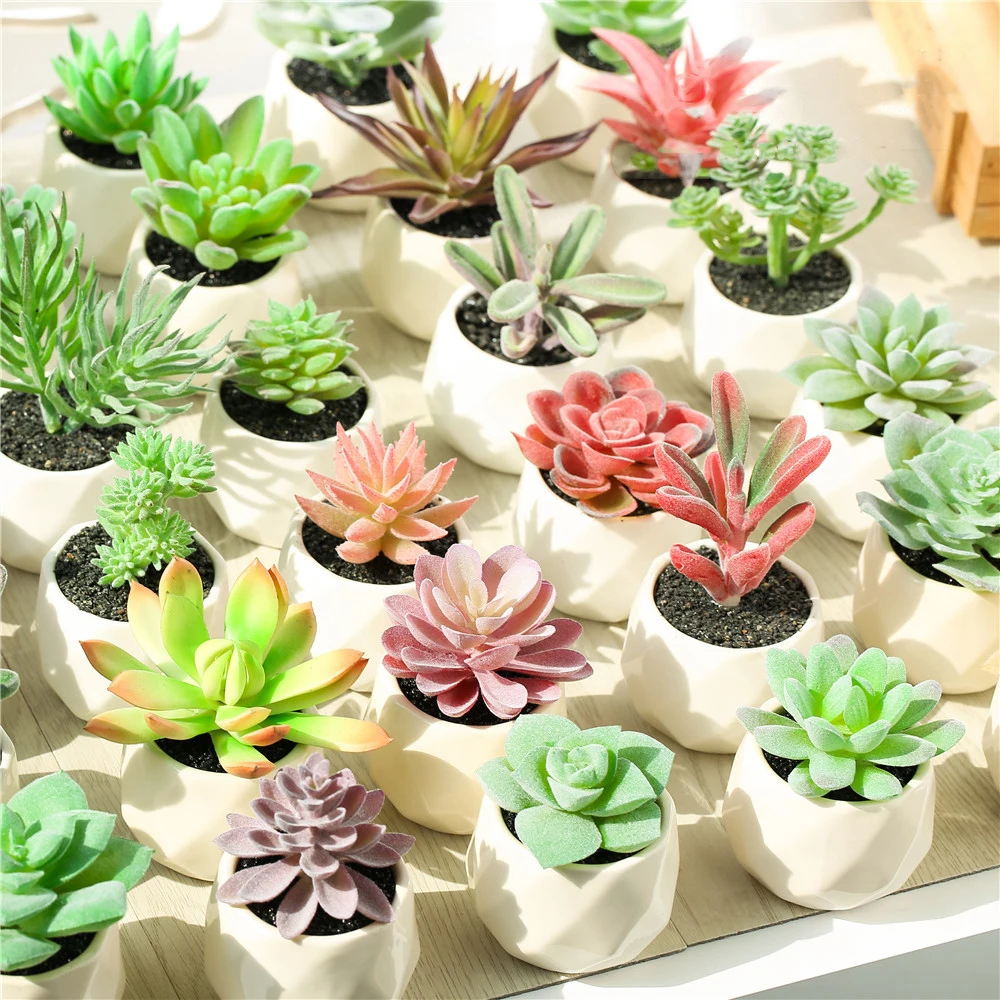 Artificial fake plant succulent home wedding potted decoration artificial flower DIY plant flower arrangement fake plant
Artificial fake plant succulent home wedding potted decoration artificial flower DIY plant flower arrangement fake plant
