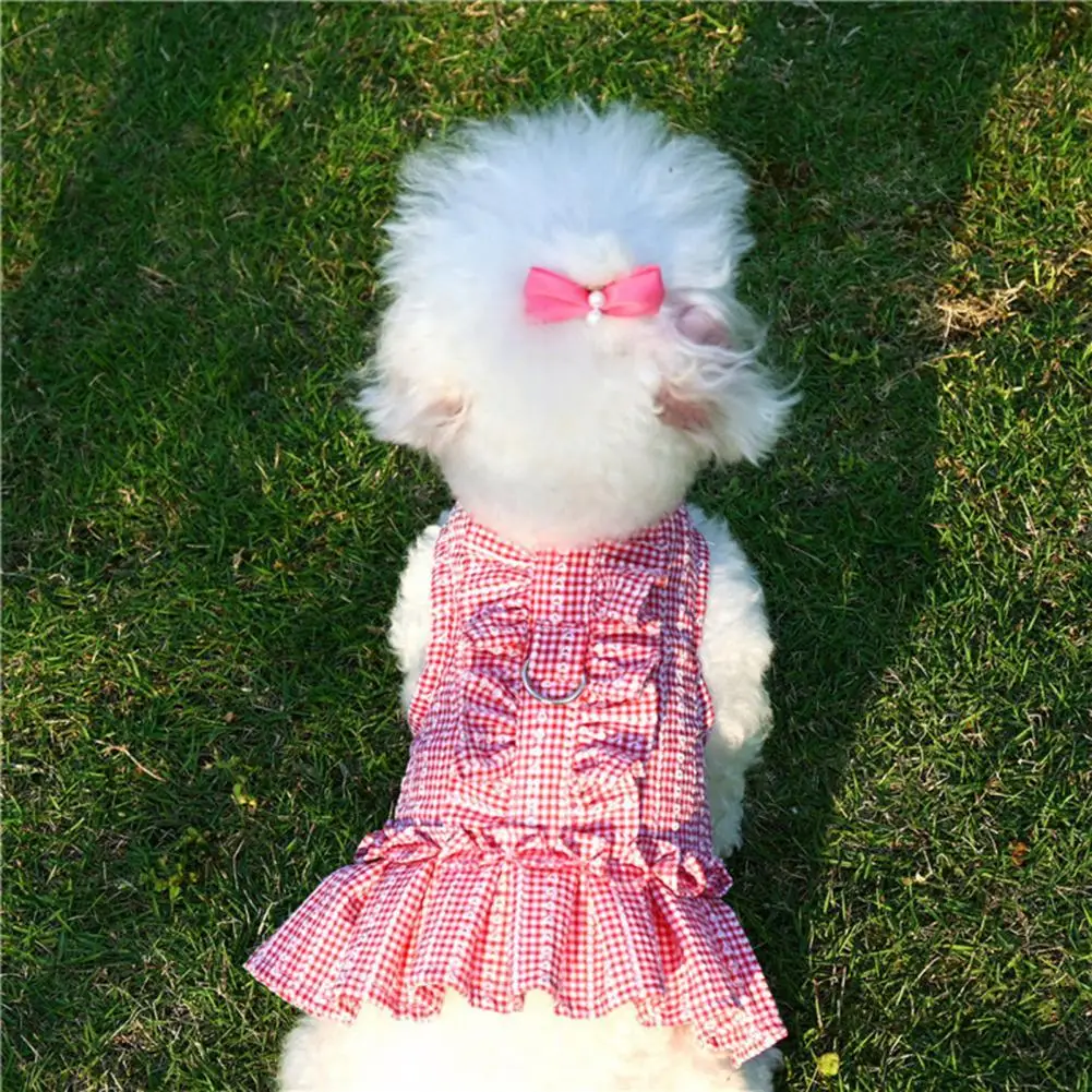 Dog Cat Harness Leash Set Hemming Printing Protect Skin Cute Dog Dress Puppy Mesh Harness Puppy Supplies
Dog Cat Harness Leash Set Hemming Printing Protect Skin Cute Dog Dress Puppy Mesh Harness Puppy Supplies