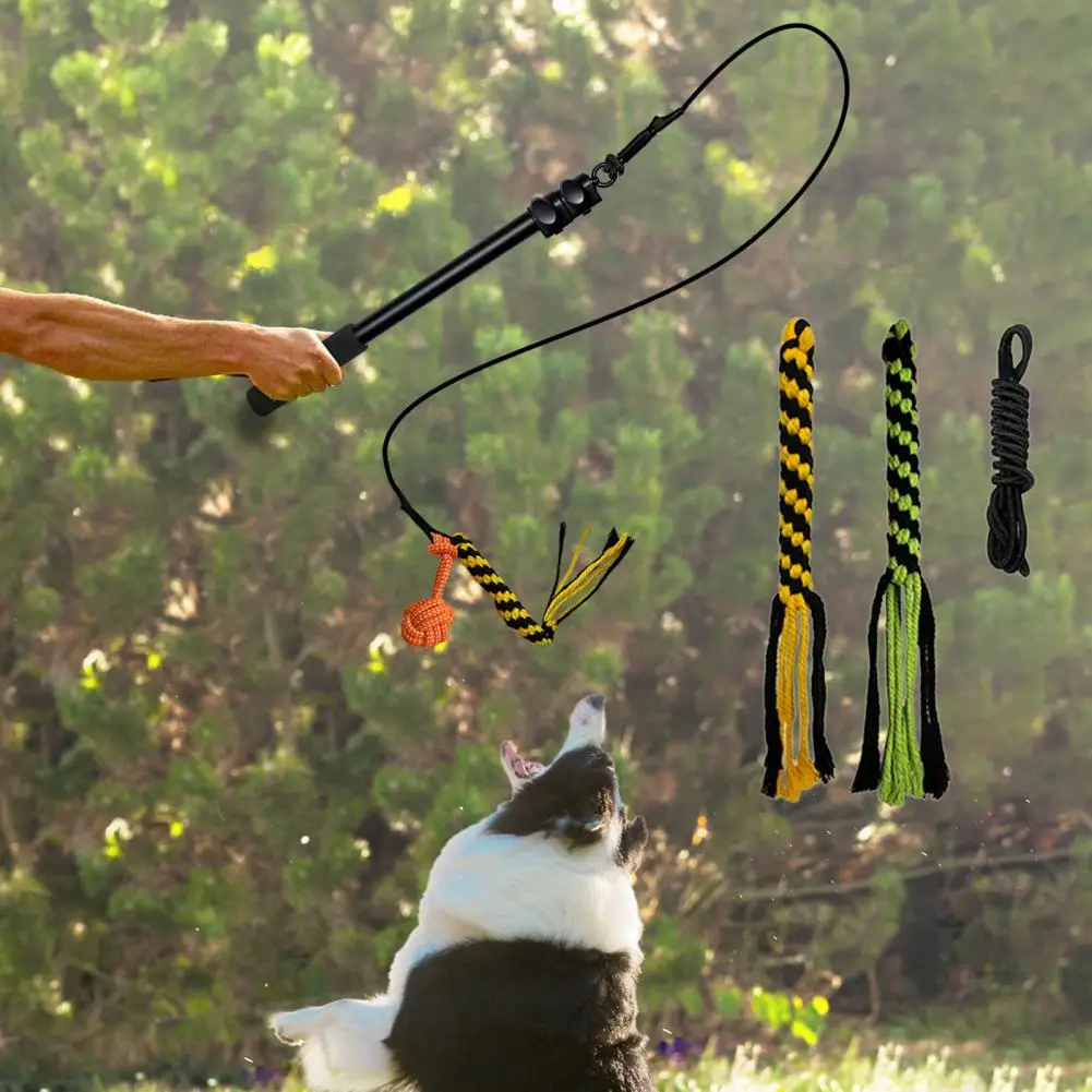 1 Set Funny Rope Tether Lure Toy Portable Retractable Dog Stick Light Creative Pet Rope Tether Lure Toy Relieve Stress
1 Set Funny Rope Tether Lure Toy Portable Retractable Dog Stick Light Creative Pet Rope Tether Lure Toy Relieve Stress