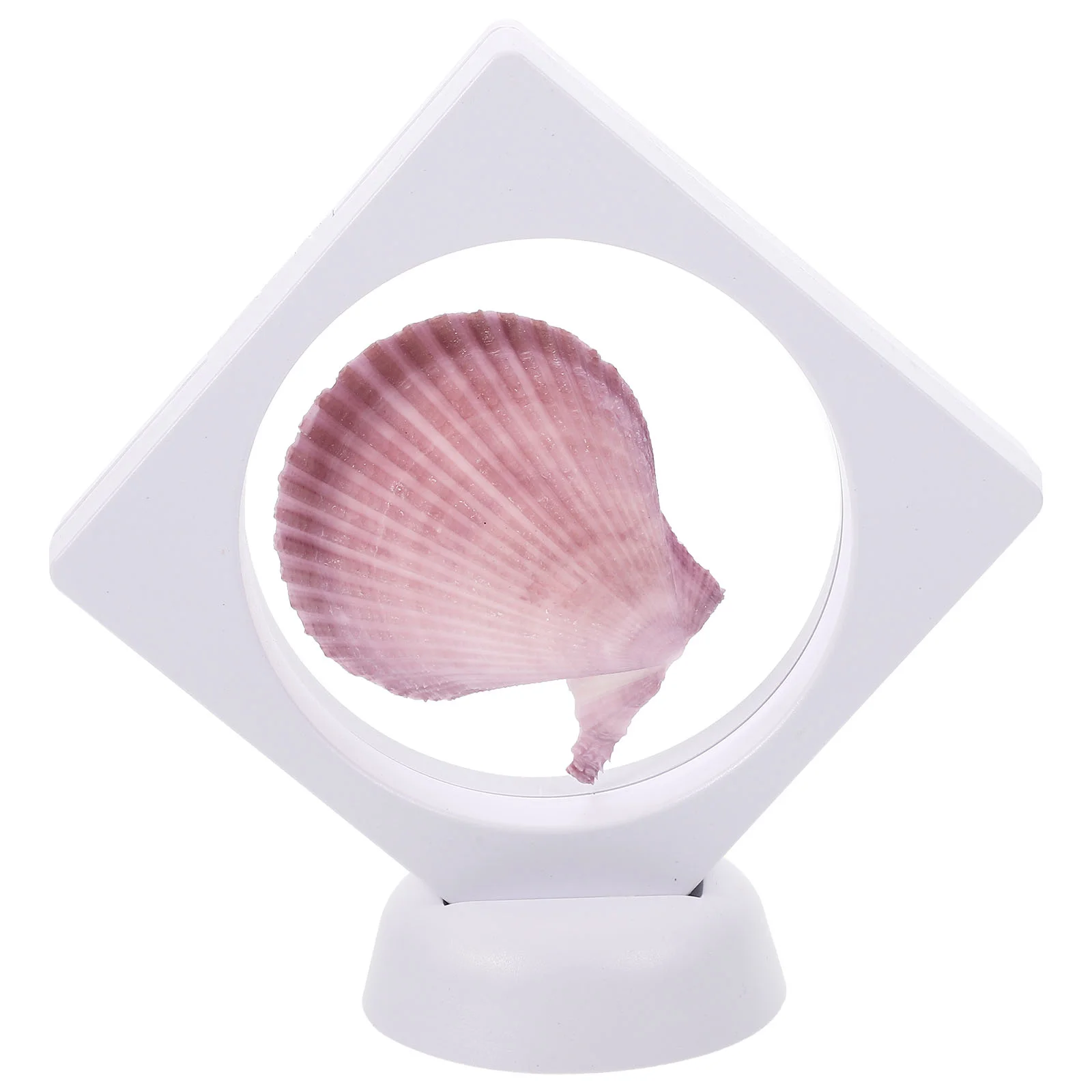 Shell Sea Nautical Conch Figurines Decorations Beach Home Mini Figurine Shells Sign Ham West Party Life Ocean Seaside Decoration
Shell Sea Nautical Conch Figurines Decorations Beach Home Mini Figurine Shells Sign Ham West Party Life Ocean Seaside Decoration