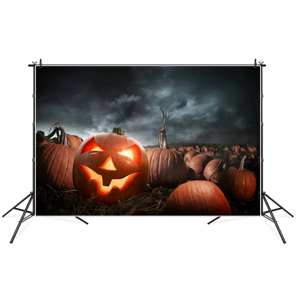 Dark Cloudy Wild Field Pumpkin Lantern Halloween Photography Backgrounds Custom Baby Party Home Decoration Photo Backdrops Props 
Dark Cloudy Wild Field Pumpkin Lantern Halloween Photography Backgrounds Custom Baby Party Home Decoration Photo Backdrops Props