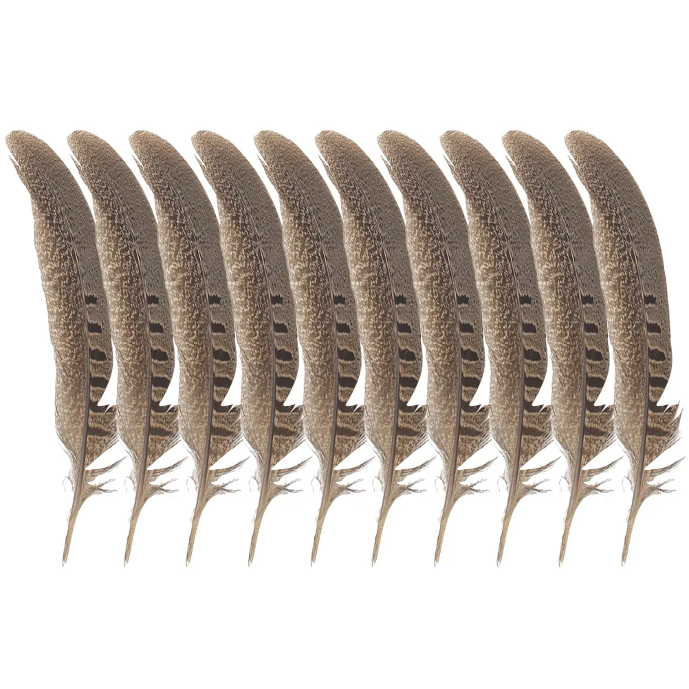 Pheasant Tail Diy Decoration Costume Plumesdecorating Clothing Making Jewelry Decor Hats Plumage Natural Catcher Dream Craft
Pheasant Tail Diy Decoration Costume Plumesdecorating Clothing Making Jewelry Decor Hats Plumage Natural Catcher Dream Craft