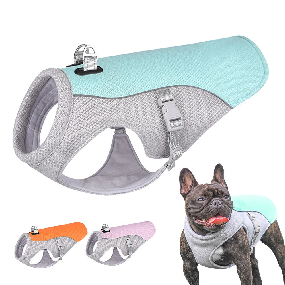 Pet Dog Cooling T-Shirt Clothing Summer Breathable Soft Comfortable Mesh Dog Cat Cool Jacket with Seatbelt Reflective
Pet Dog Cooling T-Shirt Clothing Summer Breathable Soft Comfortable Mesh Dog Cat Cool Jacket with Seatbelt Reflective
