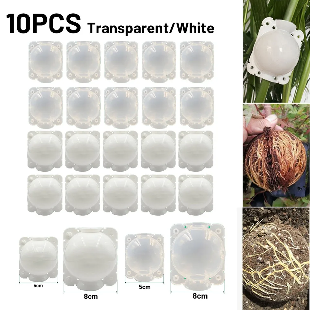 10pcs Plant Rooting Equipment Grafting Box High-pressure Breeding Box Plastic White Suitable For Rose Climbing Plants Fruit Tree
10pcs Plant Rooting Equipment Grafting Box High-pressure Breeding Box Plastic White Suitable For Rose Climbing Plants Fruit Tree