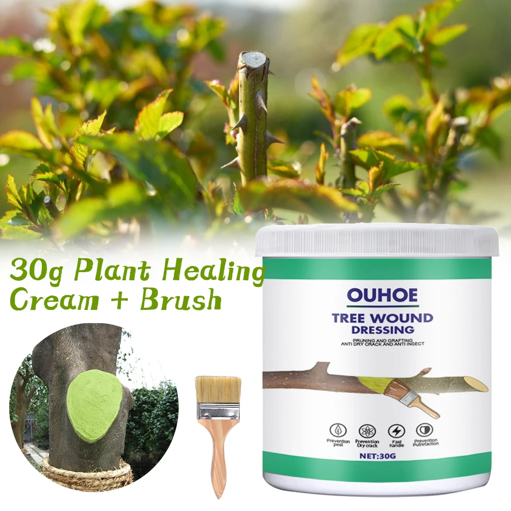 100g Tree Wound Sealer Healing Cream Wound Bonsai Cut Paste Smear Agent Pruning Compound Sealer For Home Gardening Plants Tools
100g Tree Wound Sealer Healing Cream Wound Bonsai Cut Paste Smear Agent Pruning Compound Sealer For Home Gardening Plants Tools