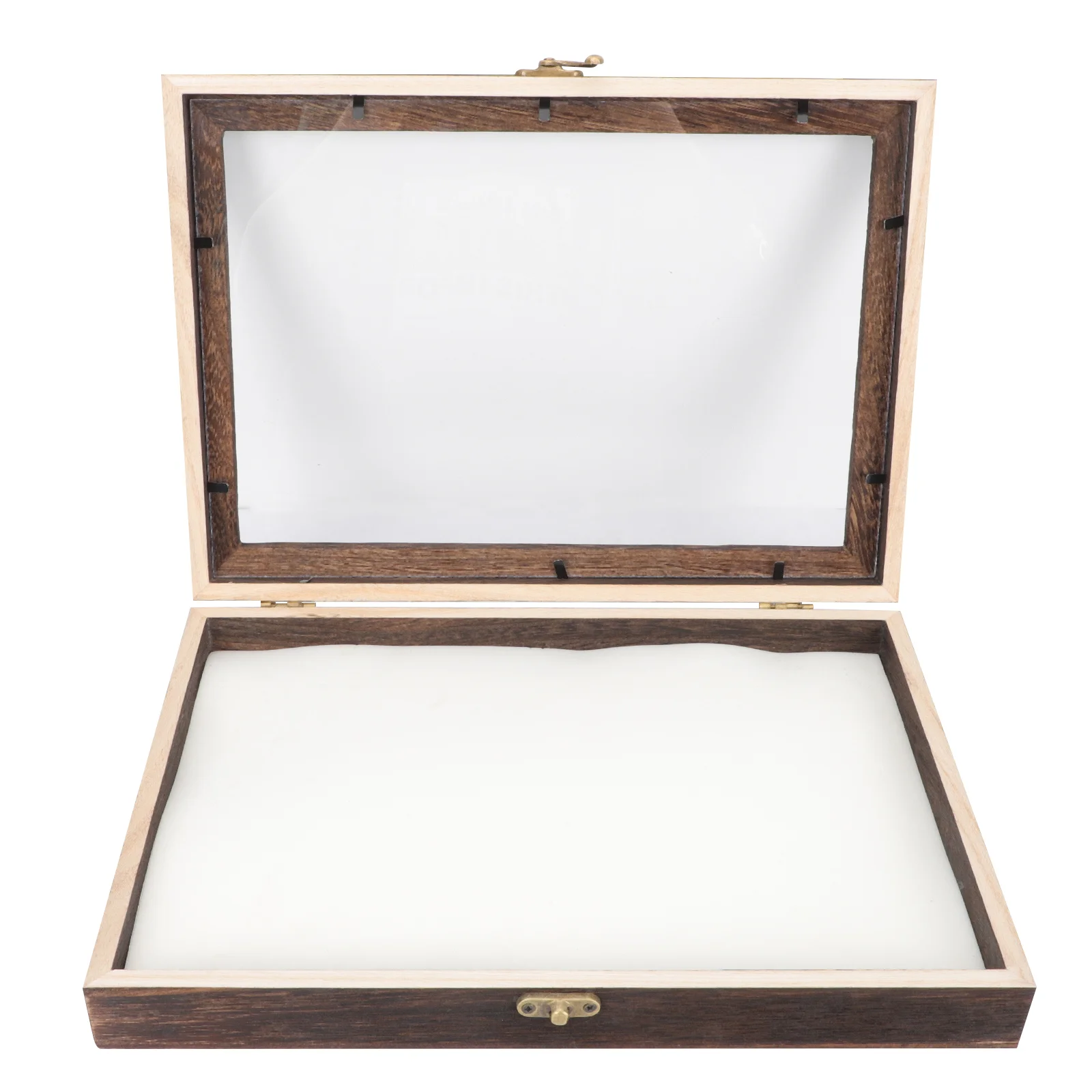 Display Case Box Specimen Shadow Frame Insectwooden Boxes Picture Wood Collection Photoshadowbox Pin Jewelry Exhibit Moth Beetle
Display Case Box Specimen Shadow Frame Insectwooden Boxes Picture Wood Collection Photoshadowbox Pin Jewelry Exhibit Moth Beetle