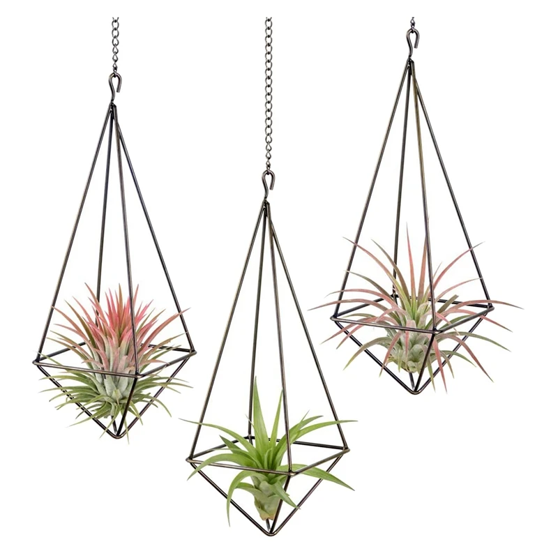 3 Pack Hanging Air Plant Holder Geometric Planter Air Plant Rack Tillandsia Hanger With Chain For Home Decor
3 Pack Hanging Air Plant Holder Geometric Planter Air Plant Rack Tillandsia Hanger With Chain For Home Decor