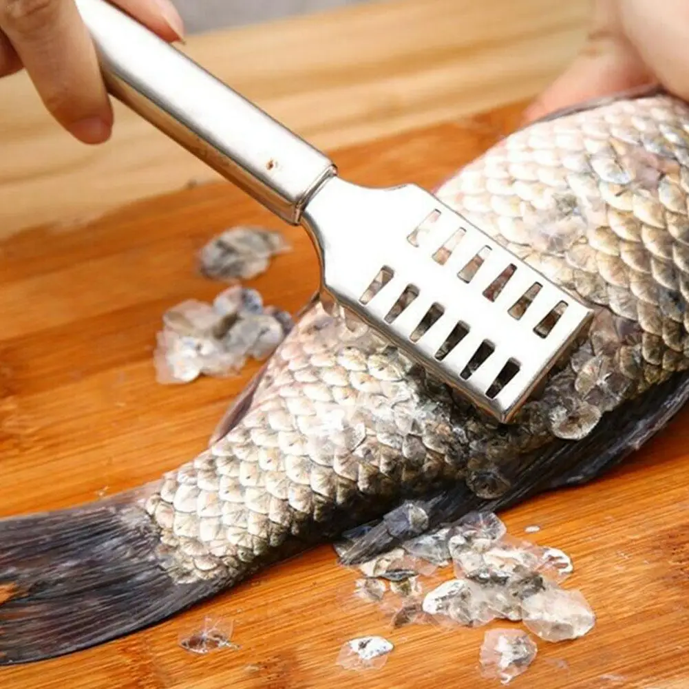 Fish Scale Remover Steel Fish Scale Remover Cleaner Scraper Kitchen Peeler Tool Kitchen Gadget Fish Cooking Tool
Fish Scale Remover Steel Fish Scale Remover Cleaner Scraper Kitchen Peeler Tool Kitchen Gadget Fish Cooking Tool