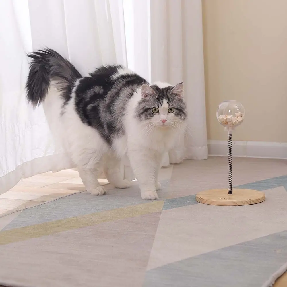 Supplies Indoor Play Scratching Ball Chasing Boring Tease Tumbler Swing Toy Pet Snack Feeder Cat Toy Pet Puzzle Toys
Supplies Indoor Play Scratching Ball Chasing Boring Tease Tumbler Swing Toy Pet Snack Feeder Cat Toy Pet Puzzle Toys