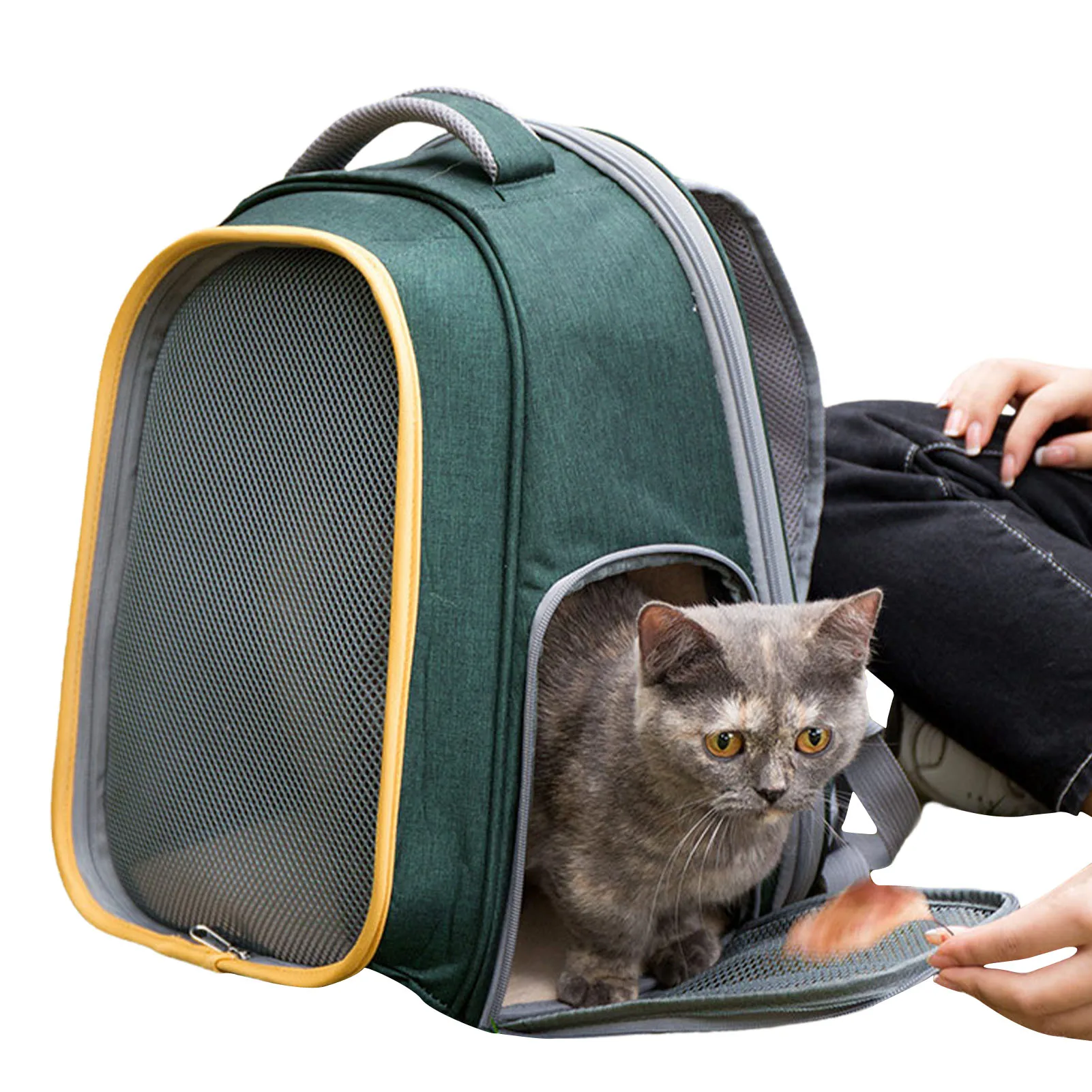 Cat Carrier Backpacks With Universal Design Puppy Carrier For Cats And Small Dogs Foldable Pet Carrier For Dogs And
Cat Carrier Backpacks With Universal Design Puppy Carrier For Cats And Small Dogs Foldable Pet Carrier For Dogs And