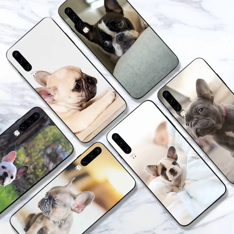 French Bulldog Cute animal dog Phone Case For Huawei honor Mate 10 20 30 40 i 9 8 pro x Lite P smart 2019 Y5 2018 nova 5t
French Bulldog Cute animal dog Phone Case For Huawei honor Mate 10 20 30 40 i 9 8 pro x Lite P smart 2019 Y5 2018 nova 5t