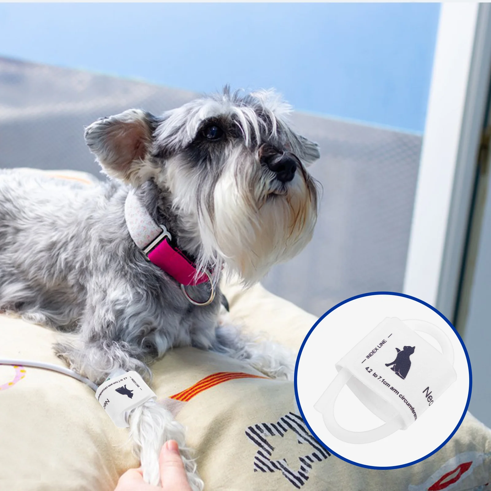 Vet Animal Cuff Dog Monitor Pet Universal Pets Cuffs Cat Supplies
Vet Animal Cuff Dog Monitor Pet Universal Pets Cuffs Cat Supplies