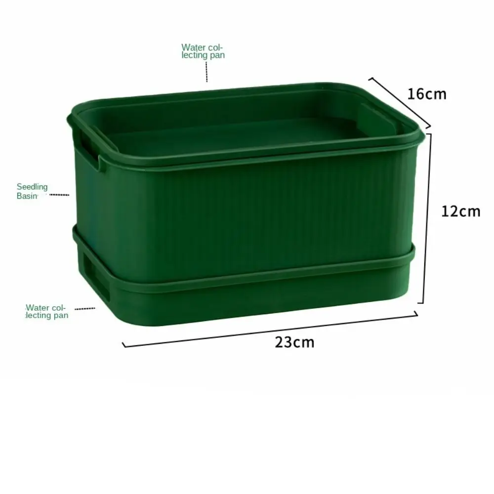 Пластиковый лоток для выращивания ростков
Пластиковый лоток для выращивания ростков