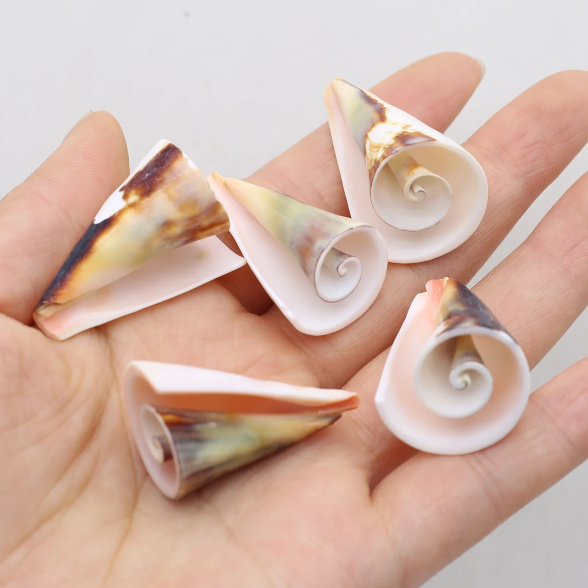 About 16 Pcs Natural Shell Conical Shape Beads Home Decoration DIY Handmade Jewelry Aquarium Fish Tank Landscape Accessories
About 16 Pcs Natural Shell Conical Shape Beads Home Decoration DIY Handmade Jewelry Aquarium Fish Tank Landscape Accessories