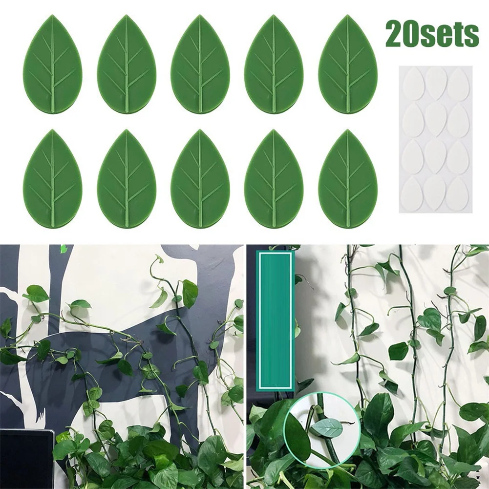 10Pcs Invisible Plant Climbing Wall Fixture Rattan Vine Bracket Fixed Buckle Leaf Clips Traction Holder Flower Hanger Glued Hook
10Pcs Invisible Plant Climbing Wall Fixture Rattan Vine Bracket Fixed Buckle Leaf Clips Traction Holder Flower Hanger Glued Hook