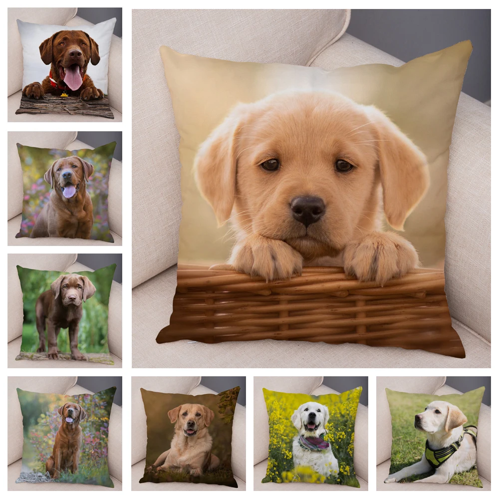 Cute Pet Animal Print Pillowcase Labrador Dog Sofa Cushion Cover Home Car Decoration
Cute Pet Animal Print Pillowcase Labrador Dog Sofa Cushion Cover Home Car Decoration