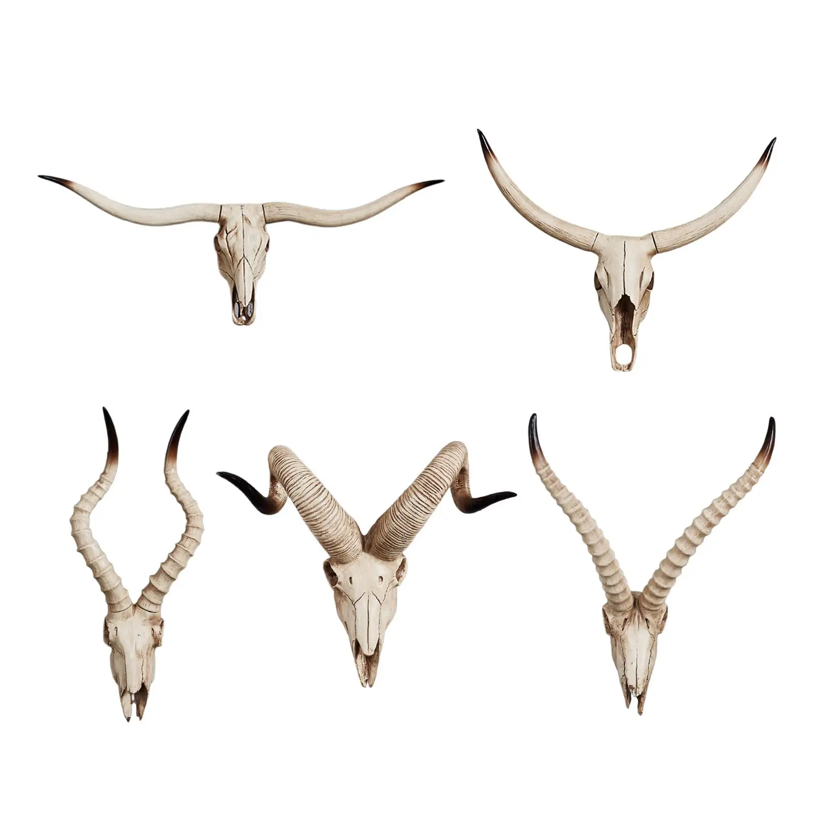 Skull Sheep Head Wall Sculpture Skull Decor Long Horned Decor Skull for Bedroom Wall
Skull Sheep Head Wall Sculpture Skull Decor Long Horned Decor Skull for Bedroom Wall