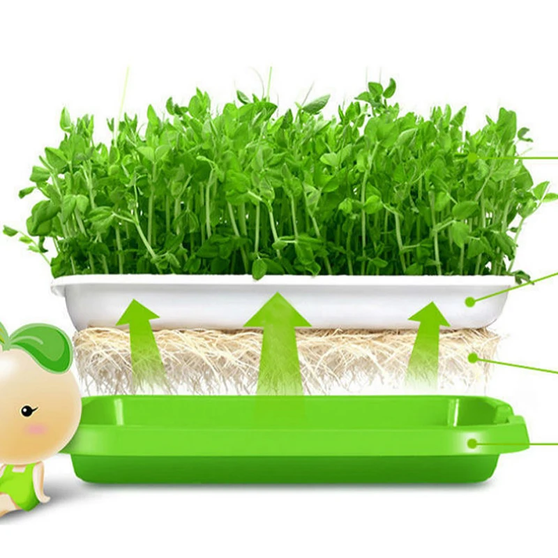 Seed Nursery Pots Hydroponics Bean Sprouts Grow Dishes Plate Vegetables Soilless Seedling Raising Basin For Sprouts
Seed Nursery Pots Hydroponics Bean Sprouts Grow Dishes Plate Vegetables Soilless Seedling Raising Basin For Sprouts