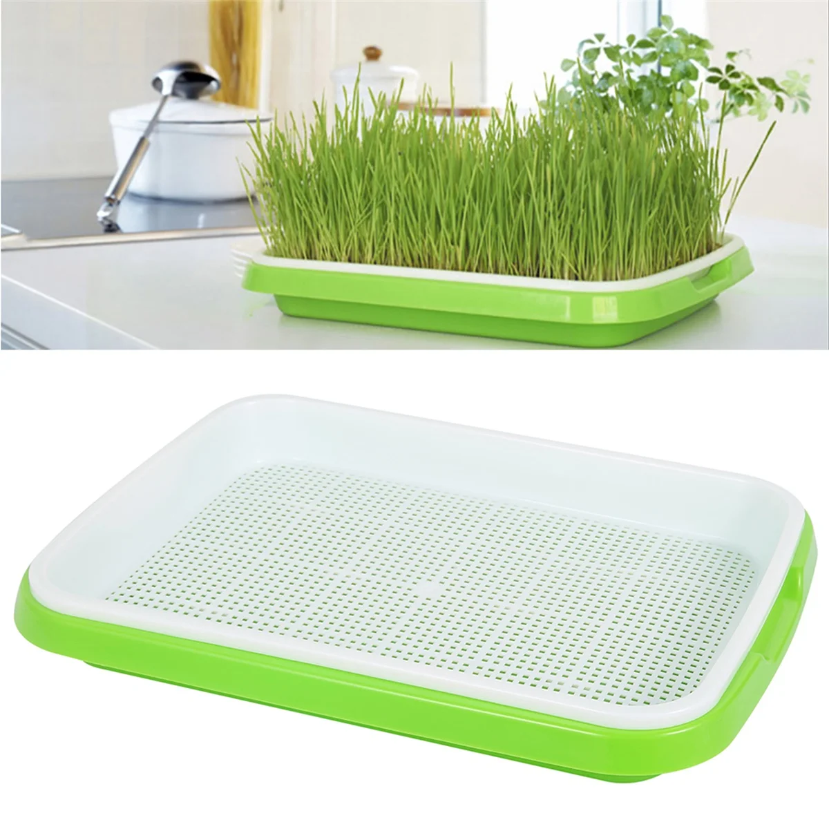 Seed Sprouter Tray Seed Germination Tray with Drain Holes Soil-Free Big Capacity Nursery Tray Healthy Wheatgrass Seeds Grower &
Seed Sprouter Tray Seed Germination Tray with Drain Holes Soil-Free Big Capacity Nursery Tray Healthy Wheatgrass Seeds Grower &