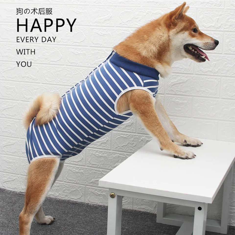 DualPet Dog Pajamas Cotton Contains Shedding Hair Surgery Recovery Suit Sport Full Bodysuit Jumpsuit for Small Large Dogs
DualPet Dog Pajamas Cotton Contains Shedding Hair Surgery Recovery Suit Sport Full Bodysuit Jumpsuit for Small Large Dogs