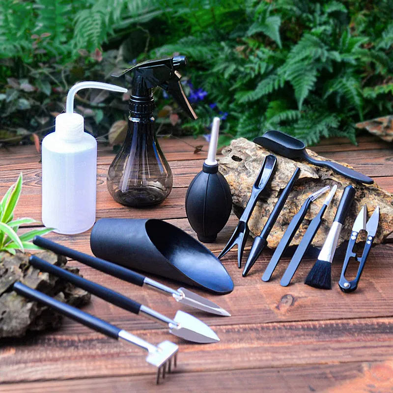 12/15pcs Garden Planter Kit Succulent Plants Tools Mini Garden Hand Tools Set Indoor Bonsai Miniature Transplant Seedling Tool
12/15pcs Garden Planter Kit Succulent Plants Tools Mini Garden Hand Tools Set Indoor Bonsai Miniature Transplant Seedling Tool
