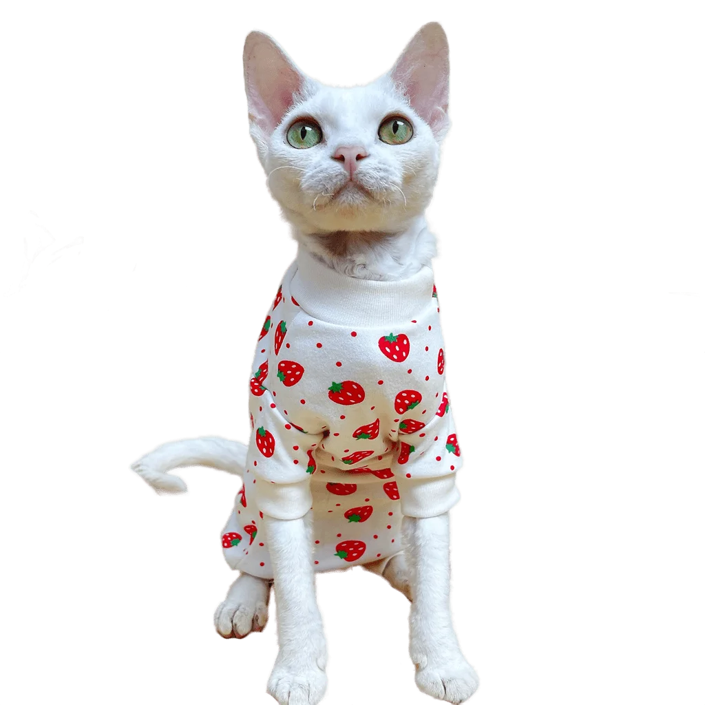 Sphinx Hairless Cat Devon Rex Four-legged Belly Cover Cotton Stretchy Spring Summer Thin Homewear Sphynx Cat Clothes
Sphinx Hairless Cat Devon Rex Four-legged Belly Cover Cotton Stretchy Spring Summer Thin Homewear Sphynx Cat Clothes