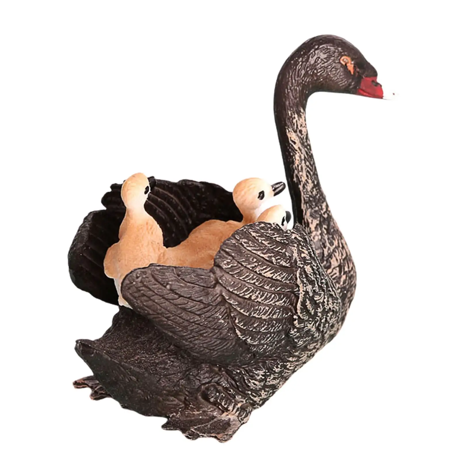 Модель животного из дикой природы, Черный лебедь, модель, игрушка для дошкольного возраста, обучающий проект, модель Диона, игрушка для дете...
Модель животного из дикой природы, Черный лебедь, модель, игрушка для дошкольного возраста, обучающий проект, модель Диона, игрушка для дете...