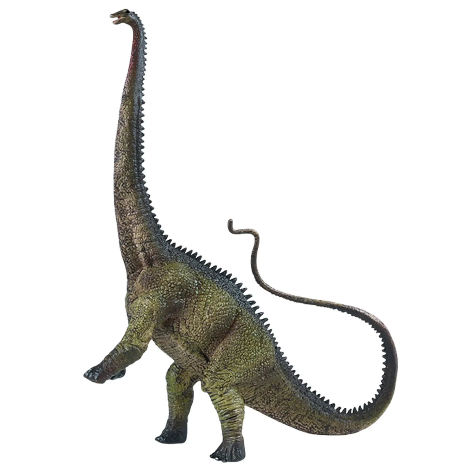 Diplodocus Dinosaurs Figure Jurassic Diplodocus Simulation Solid PVC Model Toys Collection Dinosaurs Ornament For Kids
Diplodocus Dinosaurs Figure Jurassic Diplodocus Simulation Solid PVC Model Toys Collection Dinosaurs Ornament For Kids