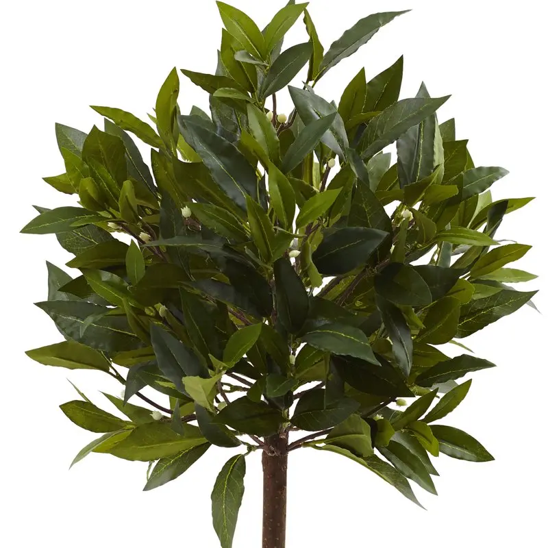 Christmas Decorative Lovely Mini Artificial Topiary, Green Christmas Decorative for Sweet Bay Home Decoration.
Christmas Decorative Lovely Mini Artificial Topiary, Green Christmas Decorative for Sweet Bay Home Decoration.