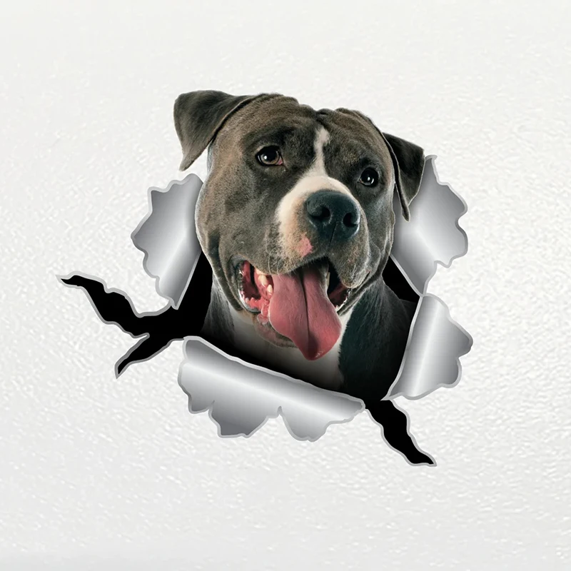 V1131# Pitbul Dog Car Sticker Pet Waterproof Vinyl Decal Car Accessories Decor Pegatinas Para Coche
V1131# Pitbul Dog Car Sticker Pet Waterproof Vinyl Decal Car Accessories Decor Pegatinas Para Coche