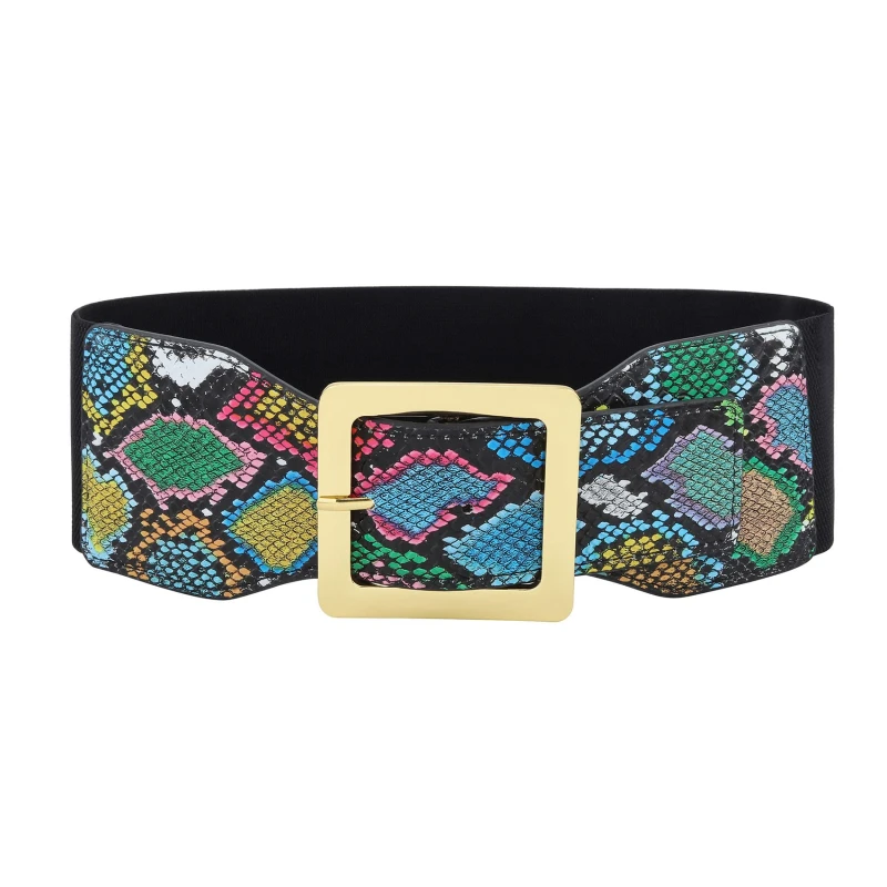 1pc Ladies Snake Print Corset Elastic Wide Waist Dress Decorative Fashion High Quality Belts For Women Luxury Designer Brand
1pc Ladies Snake Print Corset Elastic Wide Waist Dress Decorative Fashion High Quality Belts For Women Luxury Designer Brand
