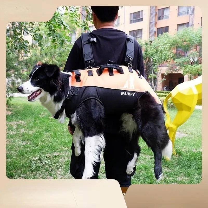 Little Puppet Wool Four-legged Clothes 2023 Autumn and Winter Pet Clothes
Little Puppet Wool Four-legged Clothes 2023 Autumn and Winter Pet Clothes