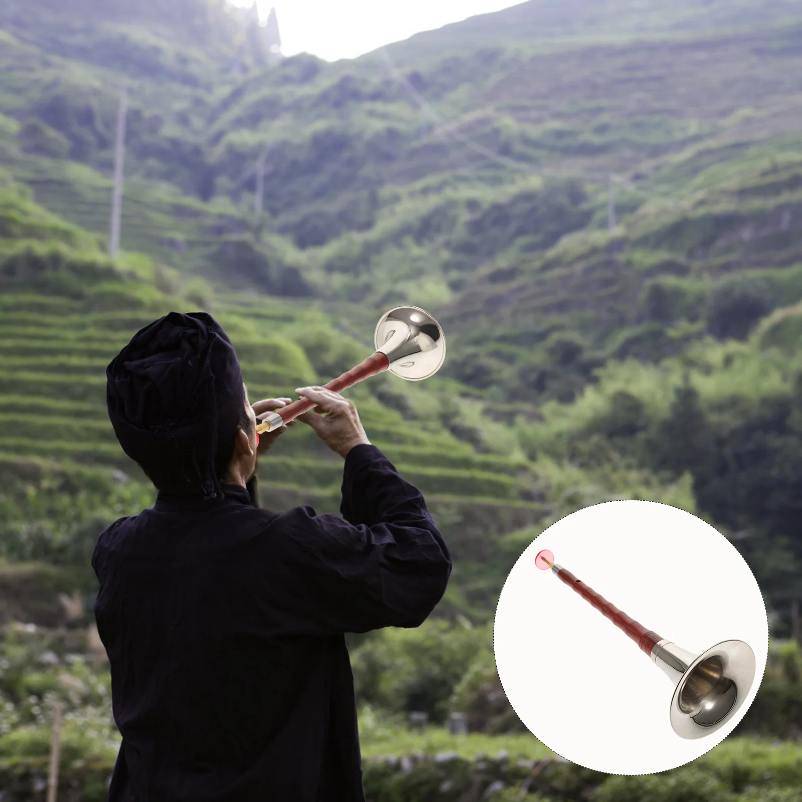 Suona F Key Music Instrument Trumpet Rosewood Musical Instrument Metal Traditional Instrument
Suona F Key Music Instrument Trumpet Rosewood Musical Instrument Metal Traditional Instrument