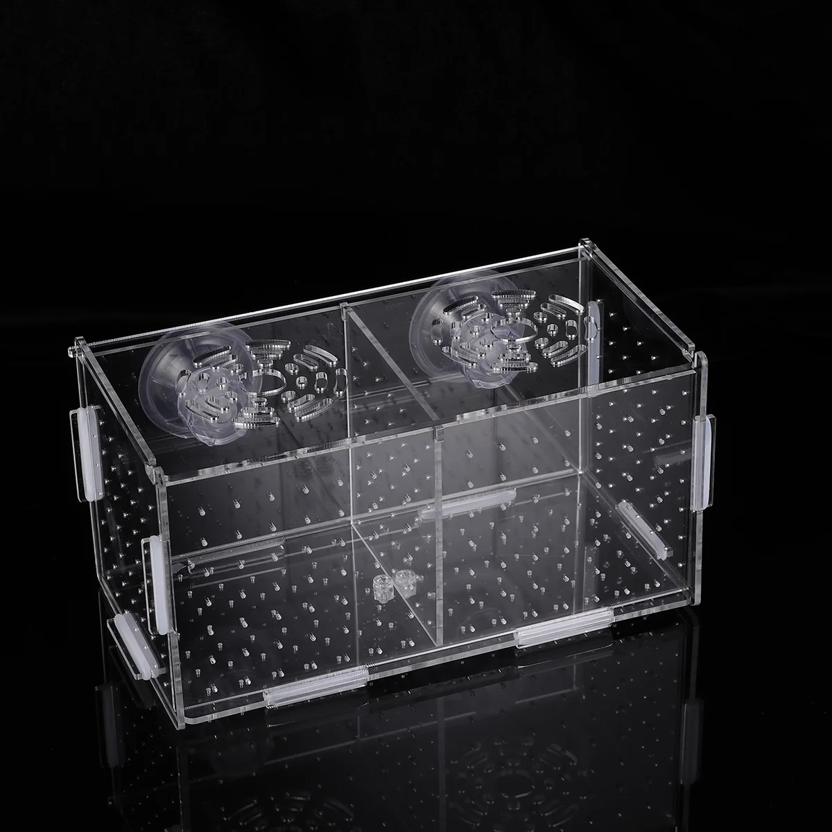 Box Tank Breeding Breeder Aquarium Incubator Hatchingboxes Hatchery Isolation Holder Brine Shrimp Transparent Case Betta Divider
Box Tank Breeding Breeder Aquarium Incubator Hatchingboxes Hatchery Isolation Holder Brine Shrimp Transparent Case Betta Divider